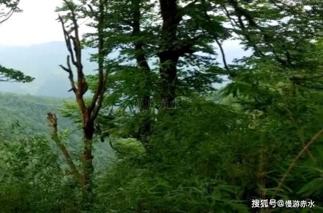 极限竞速7