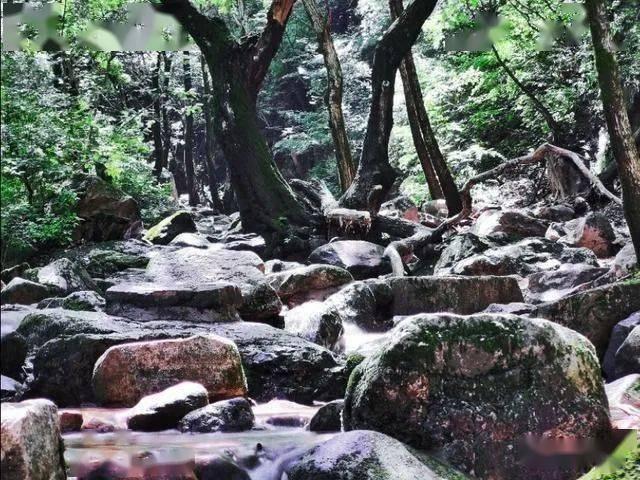陕西延榆高铁全线首座隧道开工建设