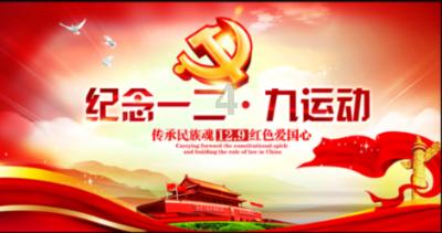 安全的港口